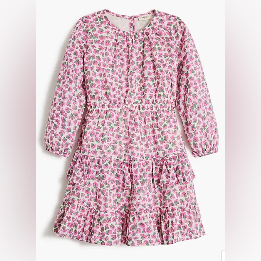 J. Crew Factory Ling Sleeve Fall Floral Dress